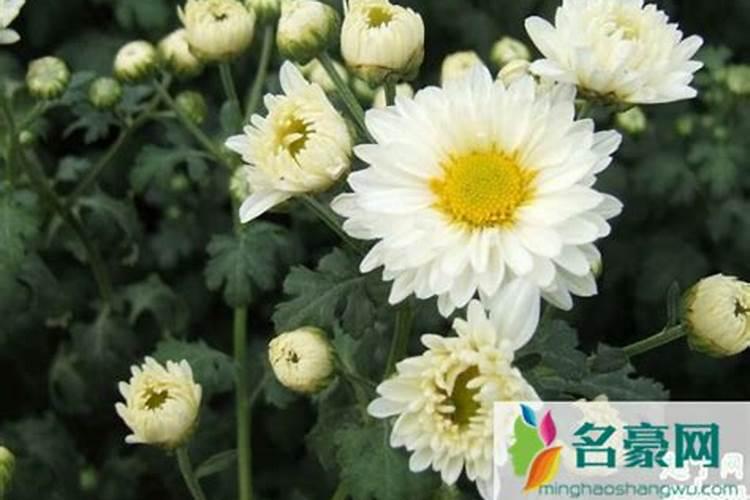 到重庆过清明节,应该准备什么衣服？