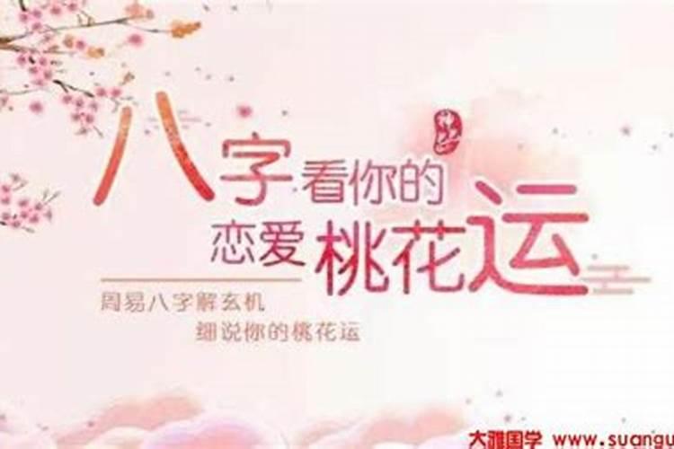 属马人的桃花运在哪一年属马的人如何提升桃花运