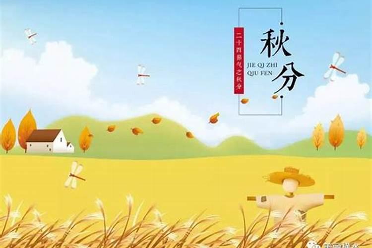 84年属鼠女在2025年每月运势