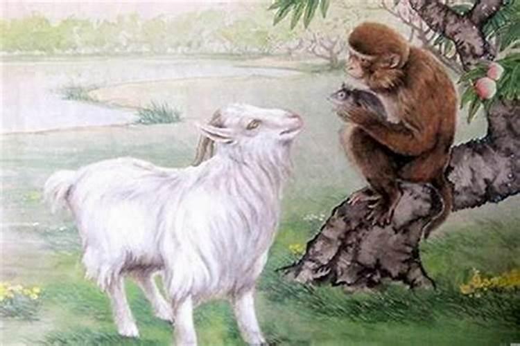 2025年属虎的人犯太岁吗怎么化解