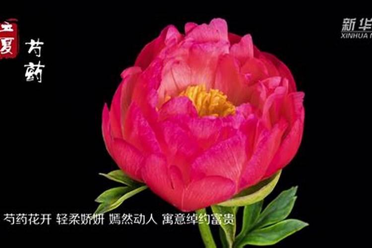 山东潍坊气候特点是什么？