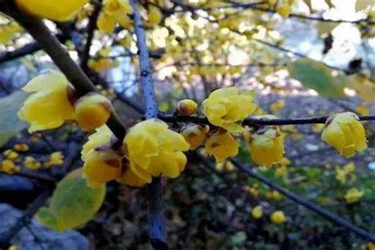 问问各地“小年”都在农历什么时候？又都有些什么风俗呢？