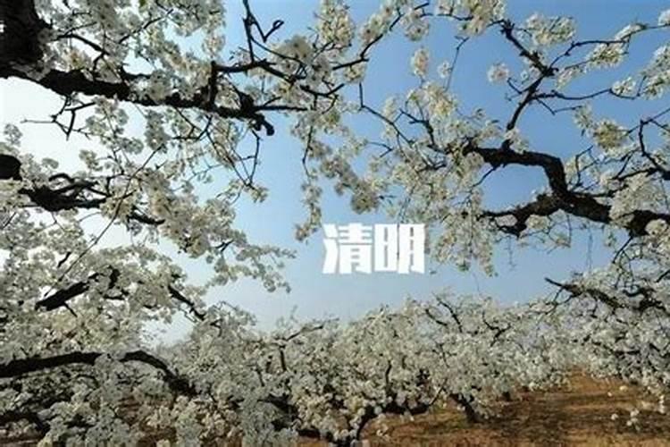 济南元宵节去哪看花灯