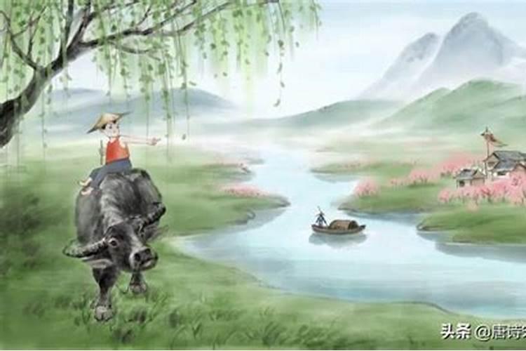 清明节一般出什么生肖