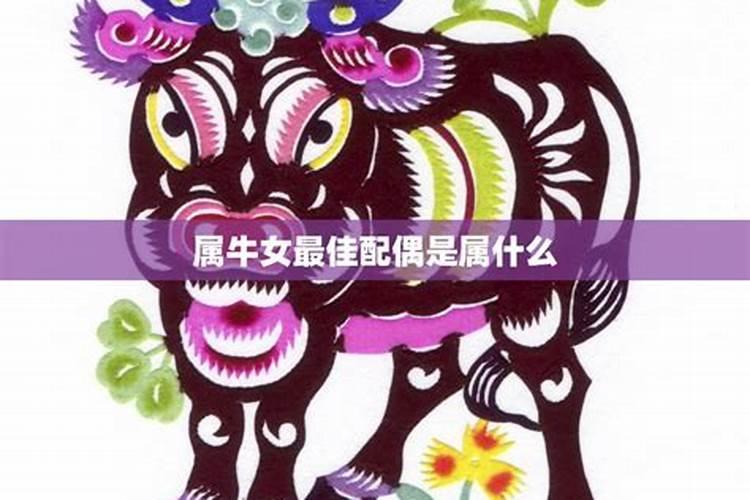 97年牛女最佳婚配属相