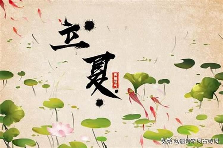 生肖蛇2025年运势及运程如何