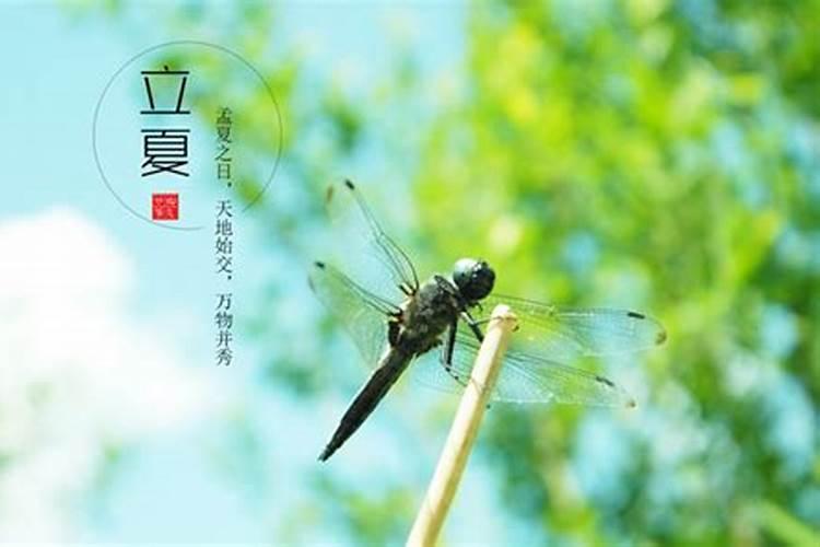 1989年属蛇人2025年运势
