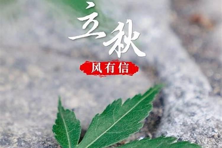 71年农历腊月初七的生日好不好
