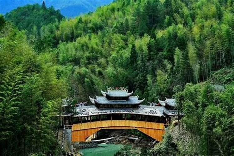 福建省冬至吃什么？汤圆还是饺子？