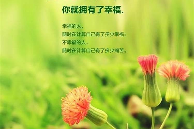 怎样提升财运和运气 可以把富贵竹放在财位招财