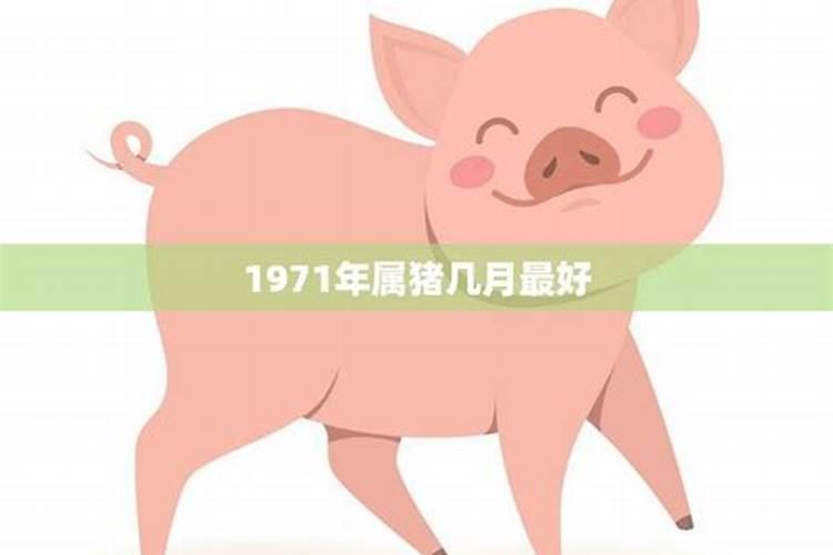 农历1971年8月6月日戌生人命