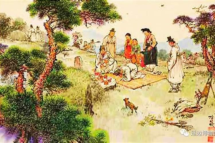 属兔的人碰到牛年好不好,属兔和属牛相配吗？能详细说说吗？