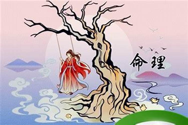 1976年正月初五亥时生人什么命