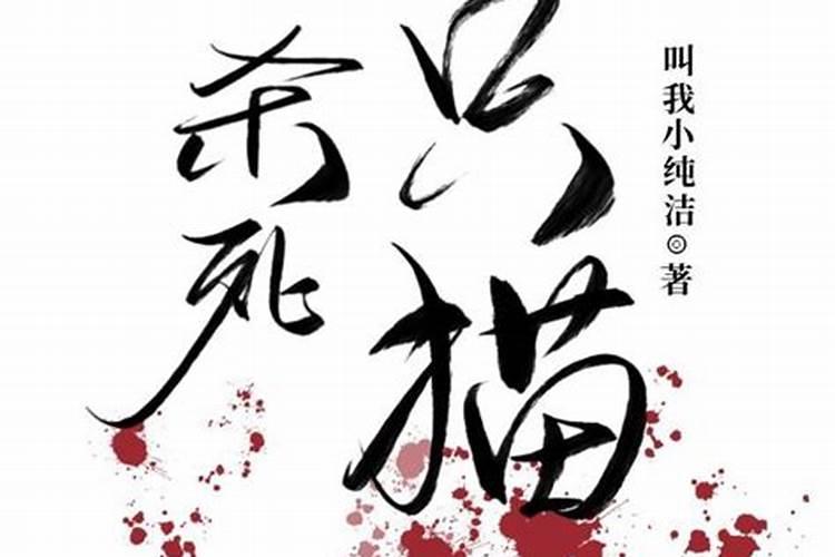 梦见杀了一只猫的预兆