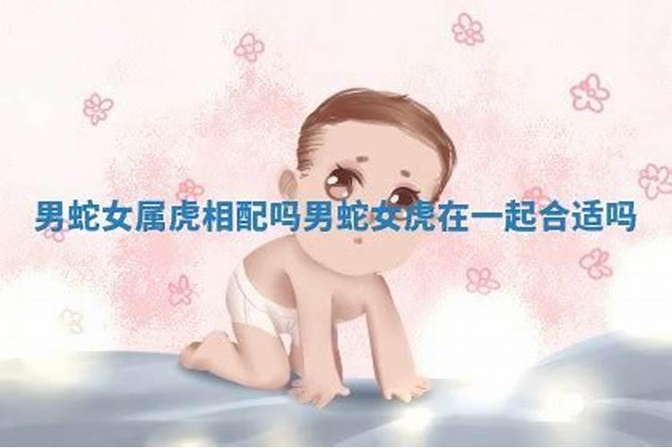 属蛇的属相婚配表大全 属蛇的婚姻配对