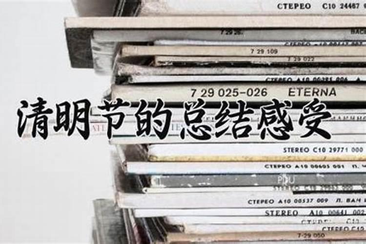 清明节扫墓观后感50字