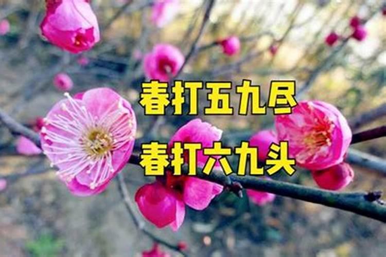 明年什么时候立春
