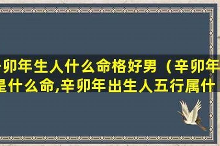 梦见领导让我去讨欠款