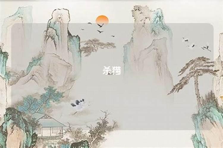 周公解梦梦见杀猫