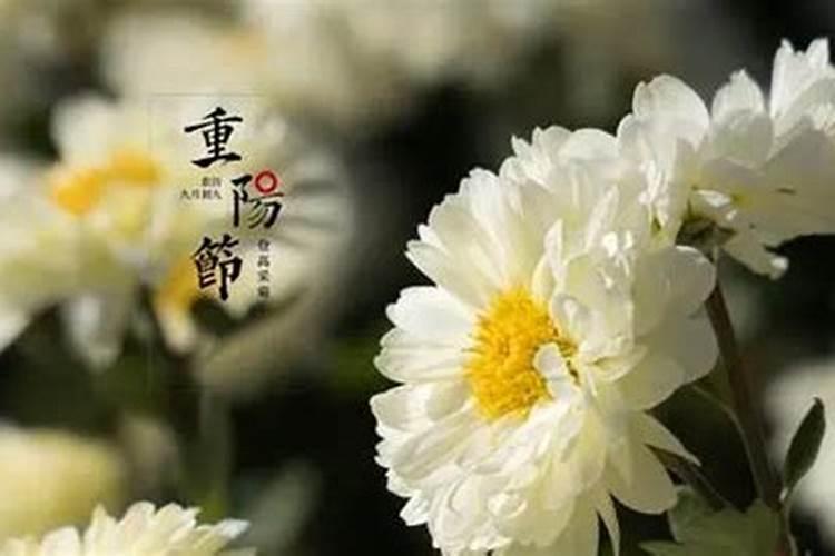 重阳节那天是什么星座