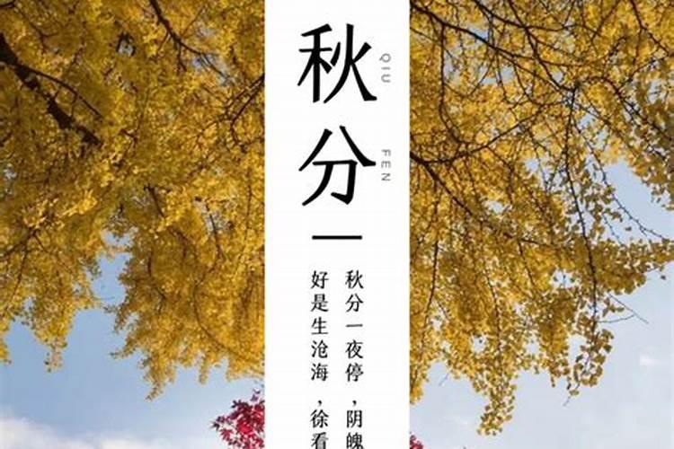 秋分节气的来历和含义