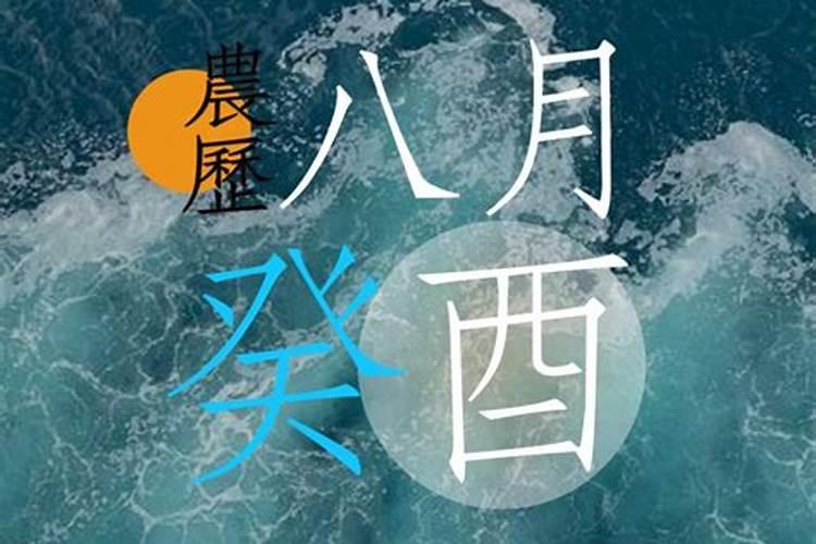 农历8月出生的属狗人运程