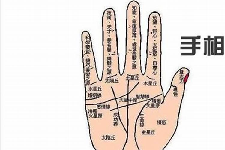 梦见死去的邻居办丧事的预兆