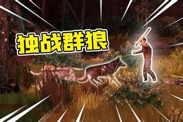 梦见打狼是什么预兆