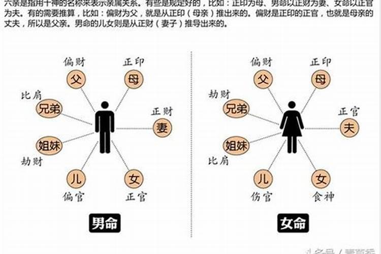 解释十神都是什么意思