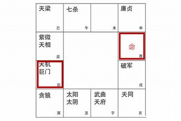 请问我是命宫主星天机巨门,命运怎么样
