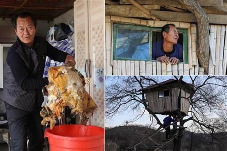 太岁符怎么处理