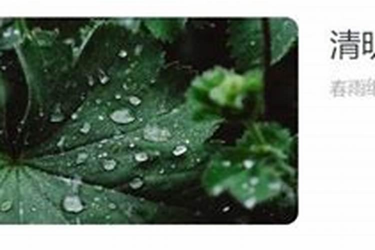 清明节朗诵配什么背景音乐好啊？