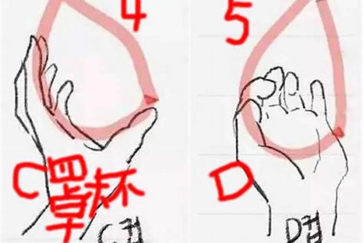 梦见牡丹花里伸出一只手的预兆