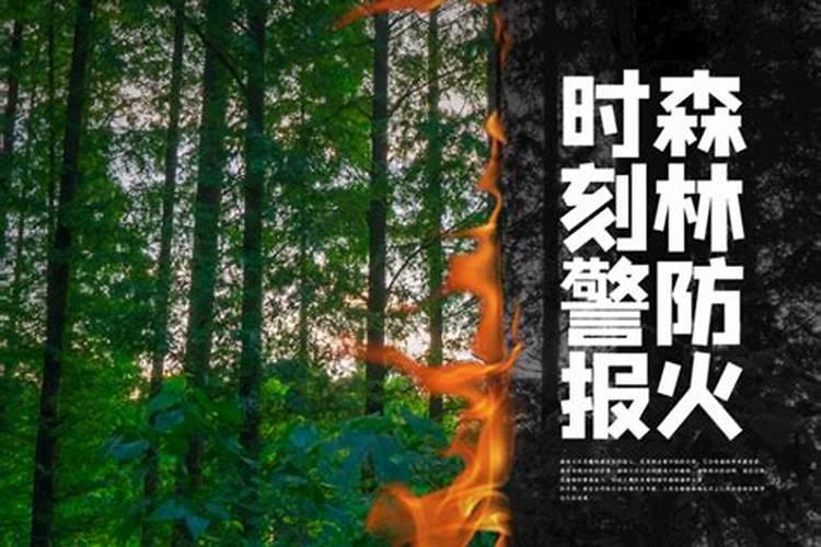今年冬至扫墓有什么规定