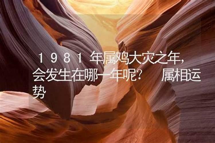 81年鸡哪年转大运 81年属鸡人2025年走大运？