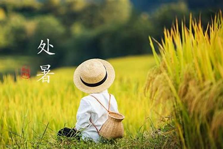 2023立秋和处暑是一个意思吗 立秋和处暑有什么区别