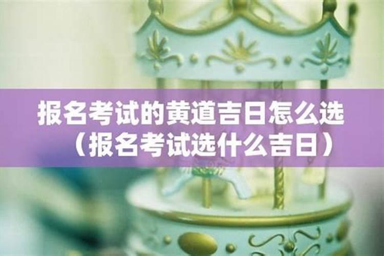 梦见两只乌龟与蛇打架的预兆