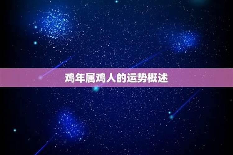 2025年69年的鸡运势