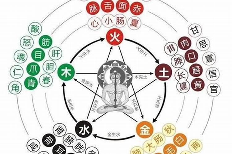 算命花盖是什么意思啊,算命中的花树是什么意思