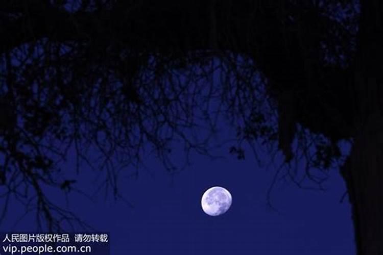 八月十五供太阳还是月亮好