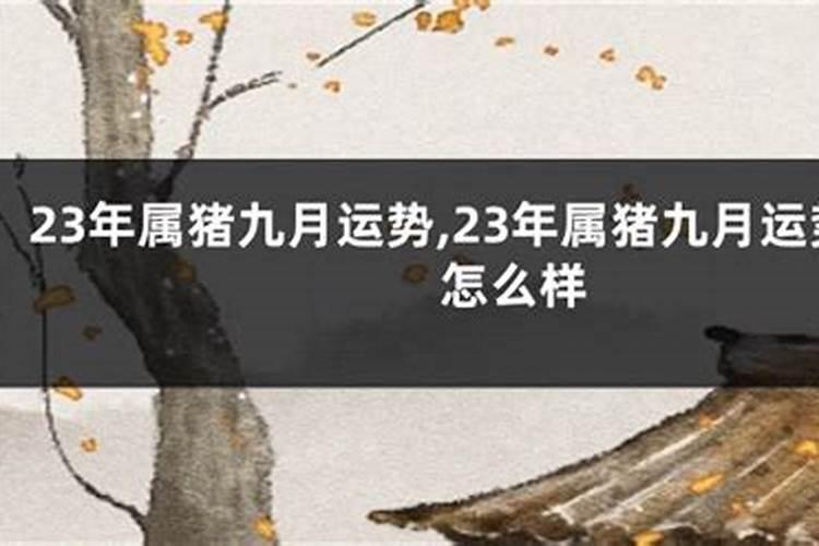 夏至是白天最长的一天吗