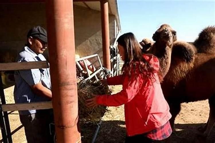 观音灵签48签求解,问婚姻能不能成我和男朋友交往两年,因为我是离婚的男...