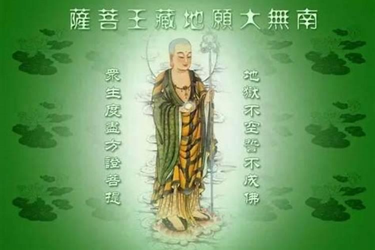 为什么有人养猫后运气反而下降了呢？