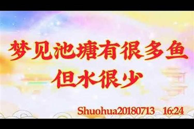 梦见塘里水少鱼多的预兆