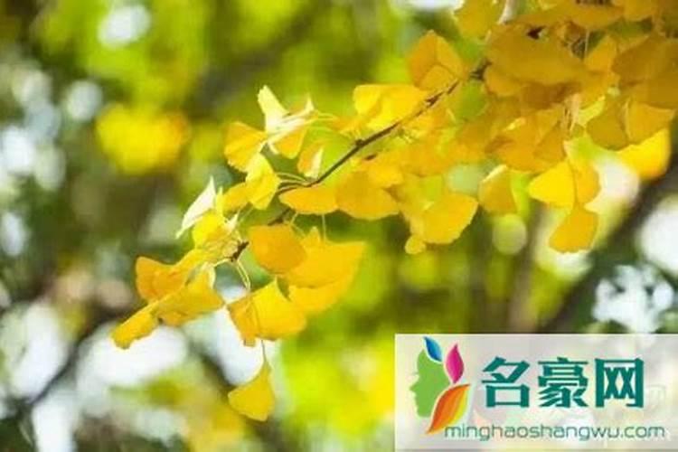 台州立夏吃什么传统美食 风俗有哪些