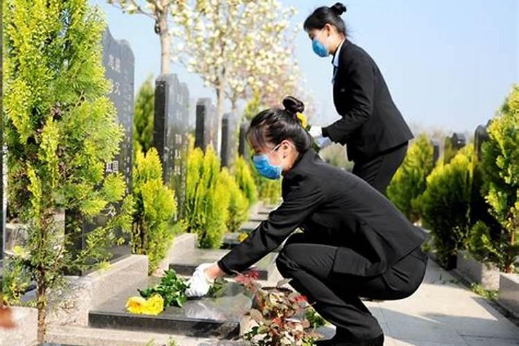 清明代客扫墓百元一次,该服务有多火爆？