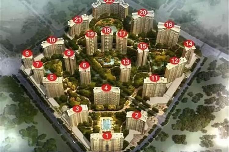楼房为什么不买14