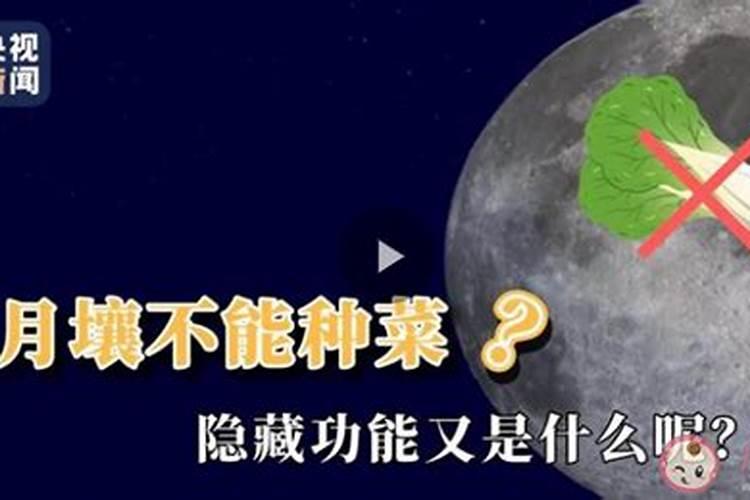八月十五是祭祀节日 中秋节也叫做尝新节