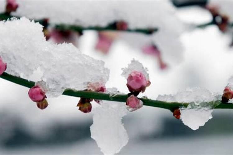 季节更替是指哪几个月