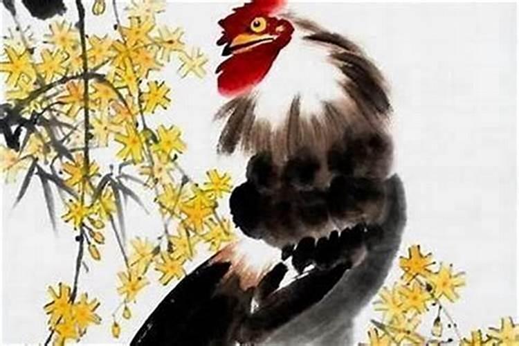 81年鸡大寒交运时间